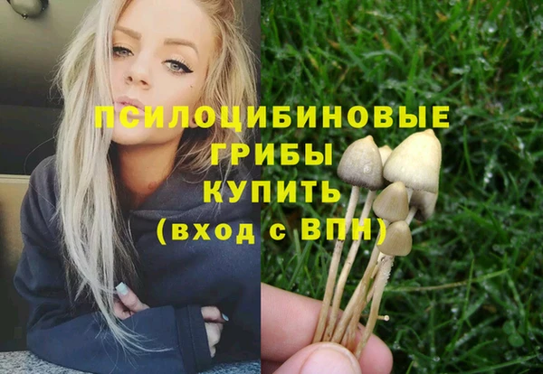 ECSTASY Верхний Тагил