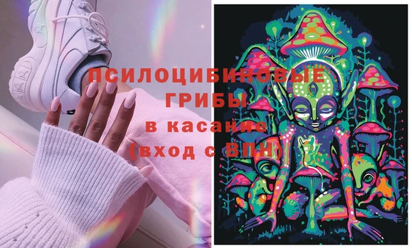 ECSTASY Верхний Тагил